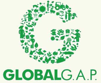 global gap logo