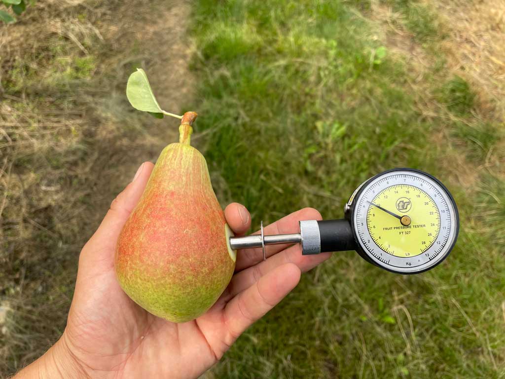 ruka drži krušku i aparat za merenje