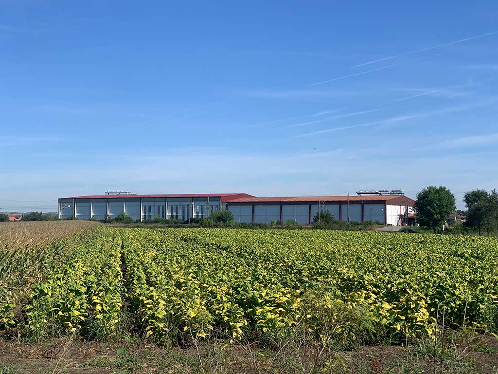 rasadnik ispred zgrade magacina