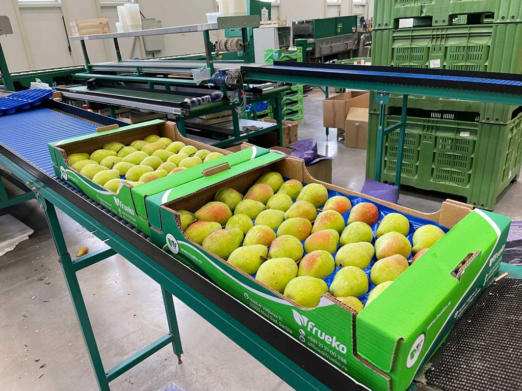 dve gajbe sa kruškama