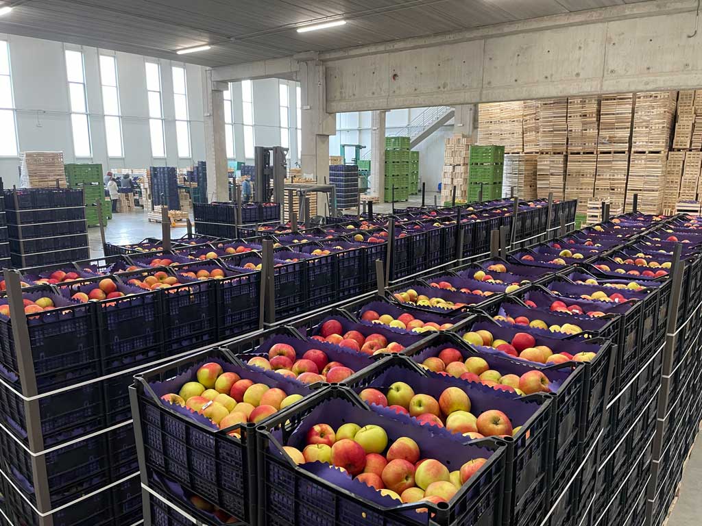 magacin sa naslaganim gajbama jabuka